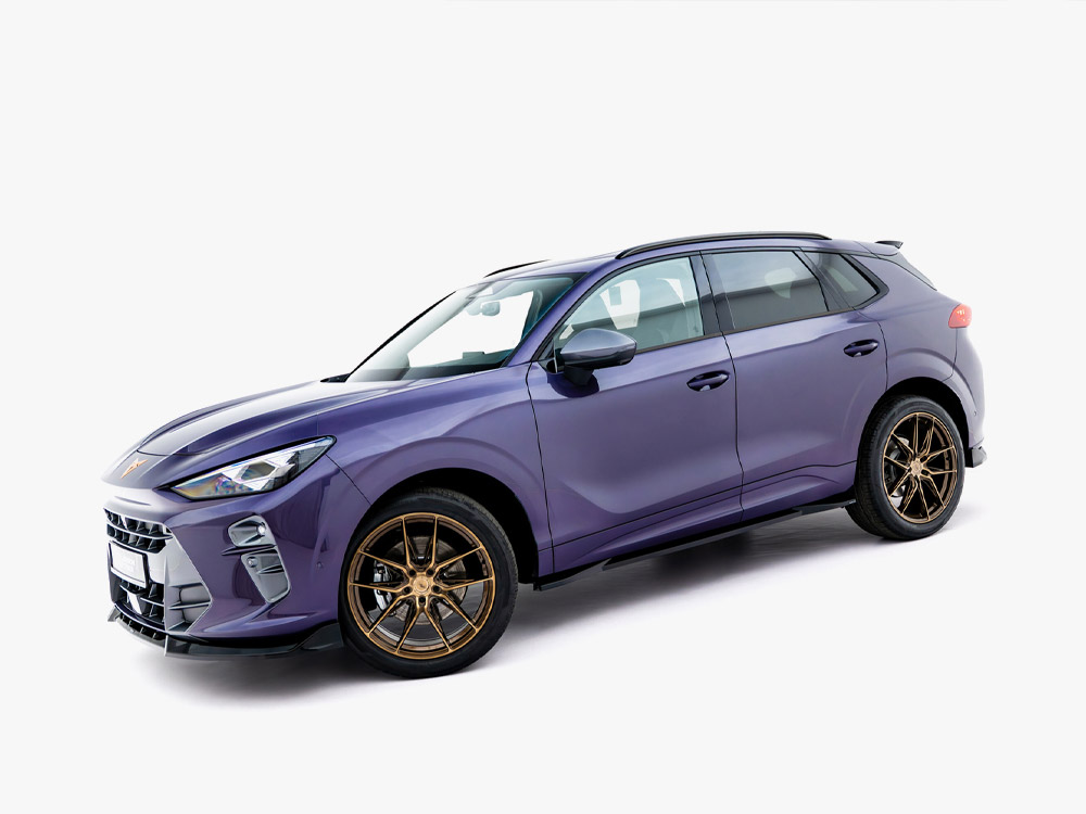 Side Skirt Diffusers Cupra Terramar Mk1 - 2 